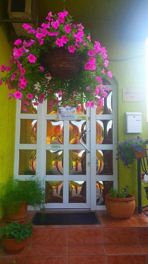 Motel Ioanis Mîndruloc Extérieur photo
